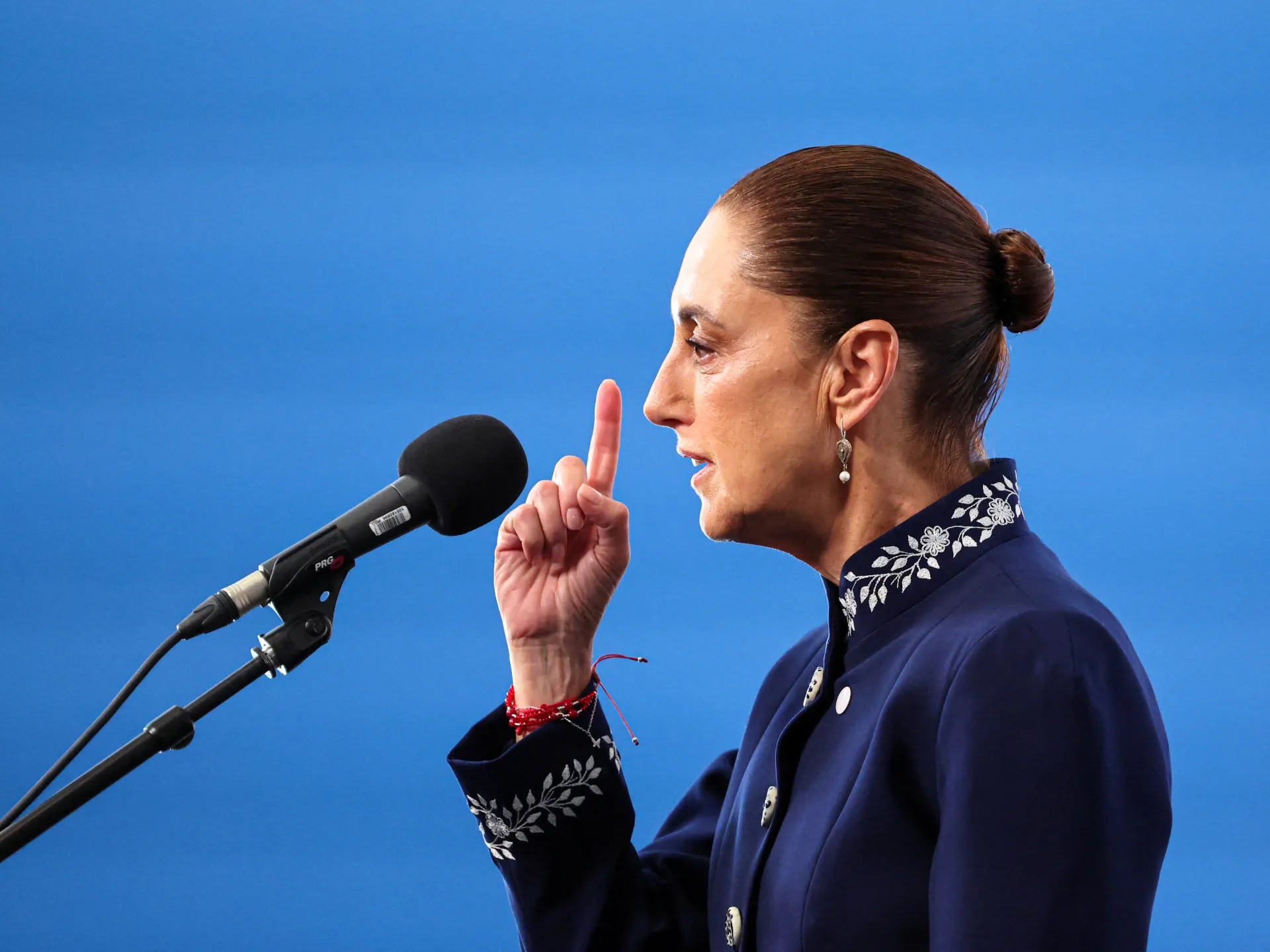 Mexico Arrests Hungarian Drug Trafficker in Resort State Under Sheinbaum Crackdown